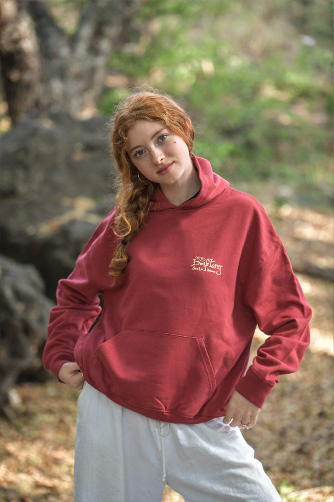 sweat a capuche mixte coton bio