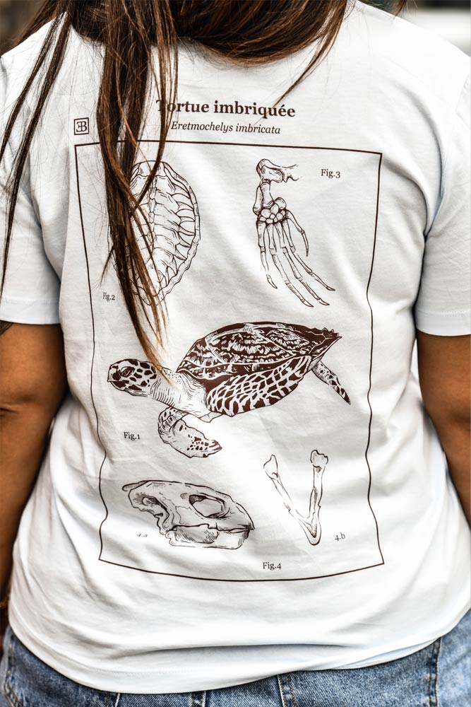 t-shirt femme collab ecaille verte coton bio