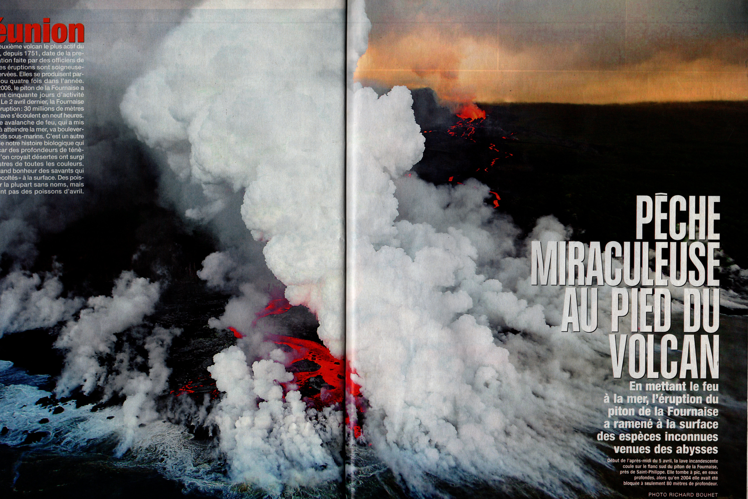 Éruption 2007 Piton de la Fournaise : poissons des profondeurs à La Réunion