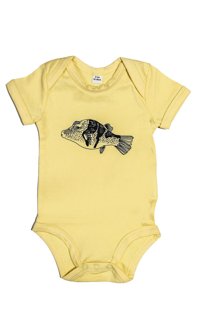 BODY BEBE CANTHIGASTER
