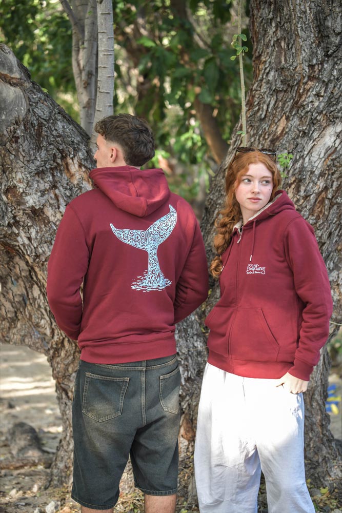 sweat coton bio mixte queue de baleine 