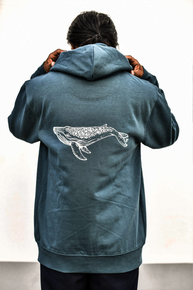 SWEAT MIXTE BALEINE