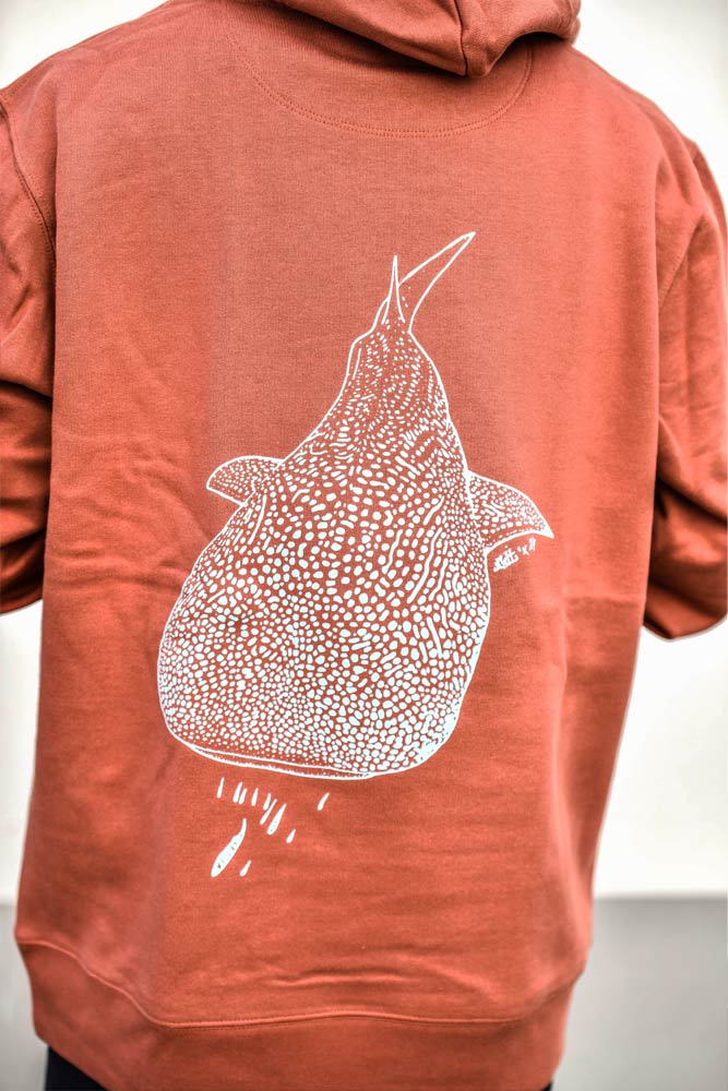 SWEAT MIXTE REQUIN BALEINE