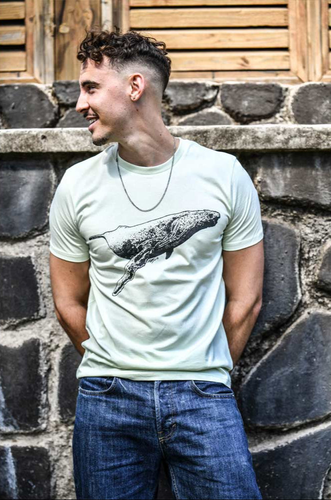 T-SHIRT HOMME MEGAPTERA